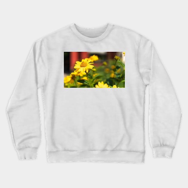 Beautiful yellow flowers in the day Crewneck Sweatshirt by josefpittner